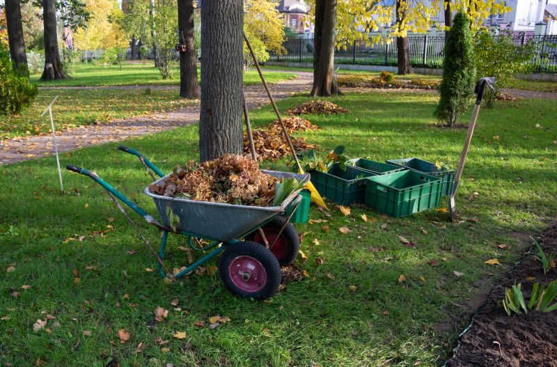 Land Clearing in Katy, TX